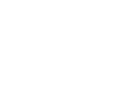 Premium Sound & Security